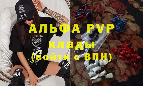 хмурый Алзамай