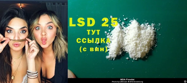 хмурый Алзамай