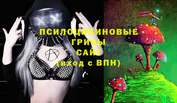 хмурый Алзамай