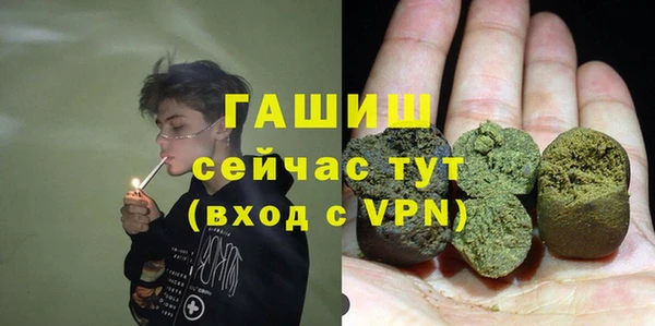 хмурый Алзамай