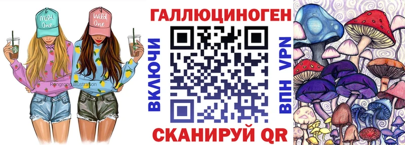 Галлюциногенные грибы Psilocybe блэк спрут ссылки Бокситогорск
